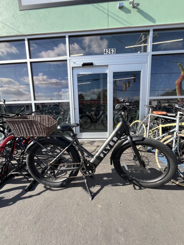 Radio Flyer M880 Ebike - Black - Medium